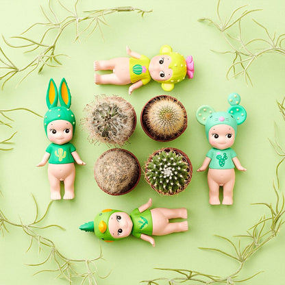 Cactus Series